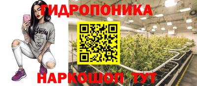 прущие грибы Тулун