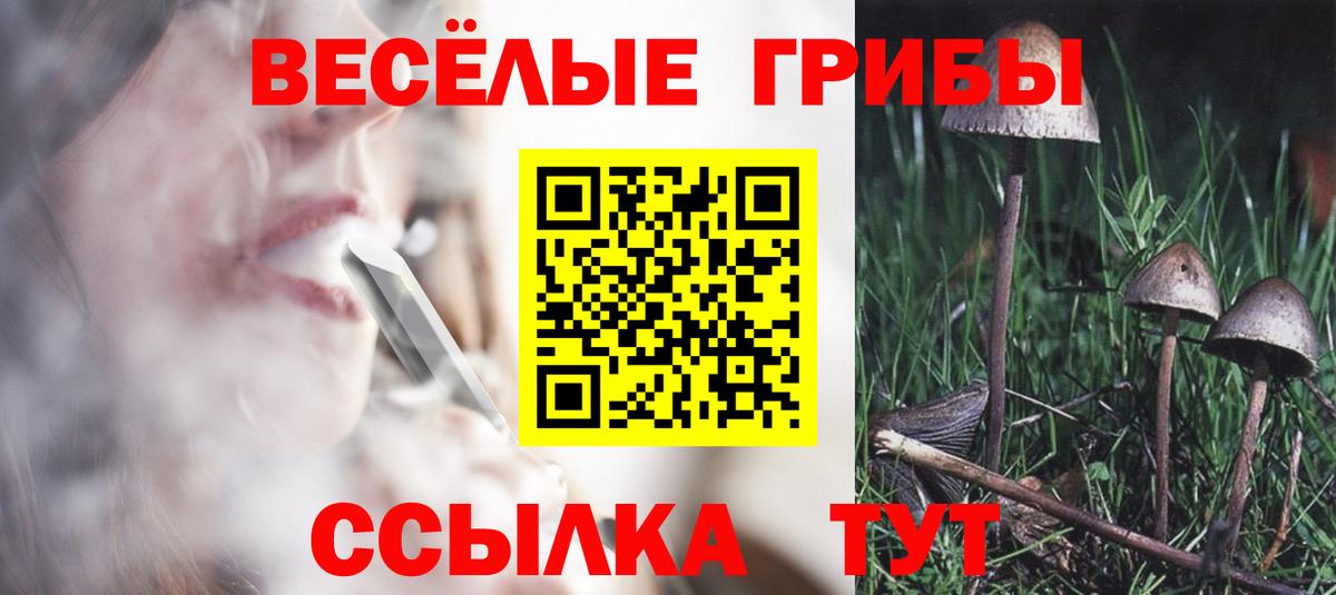 Псилоцибиновые грибы прущие грибы  Вход с VPN  Галлюциногенные грибы мицелий  Волжский 